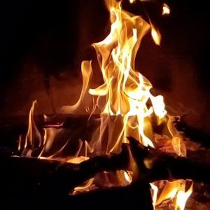 Meet your Posher, Walter